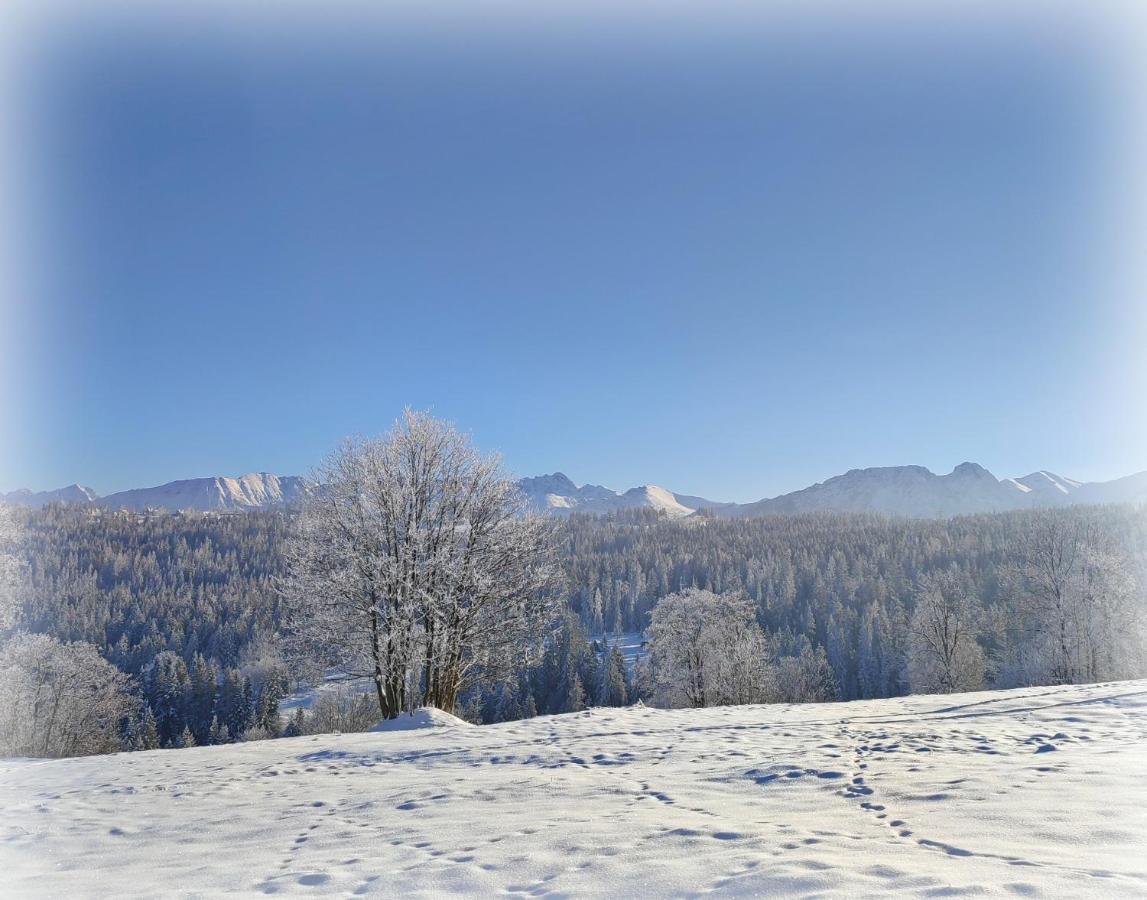 Willa Juna Tatry Nowe Bystre Exterior foto